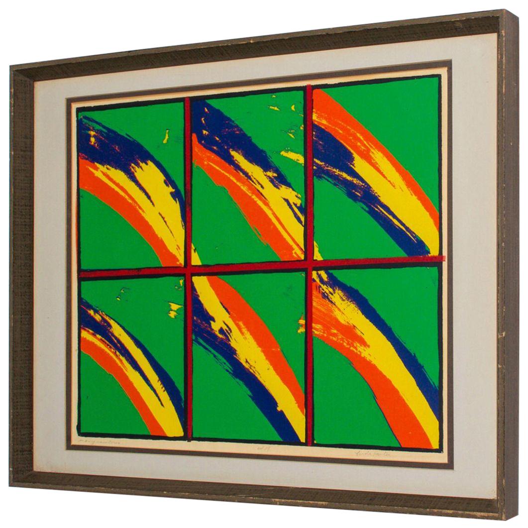 1970s Op Art by Linda Harter Many Rainbows Vibrant Color
