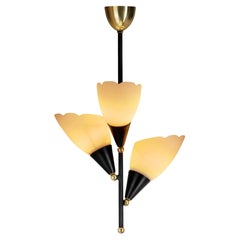 Opal Glass and Lacquered Metal Chandelier with Brass Details, Europe 1950s