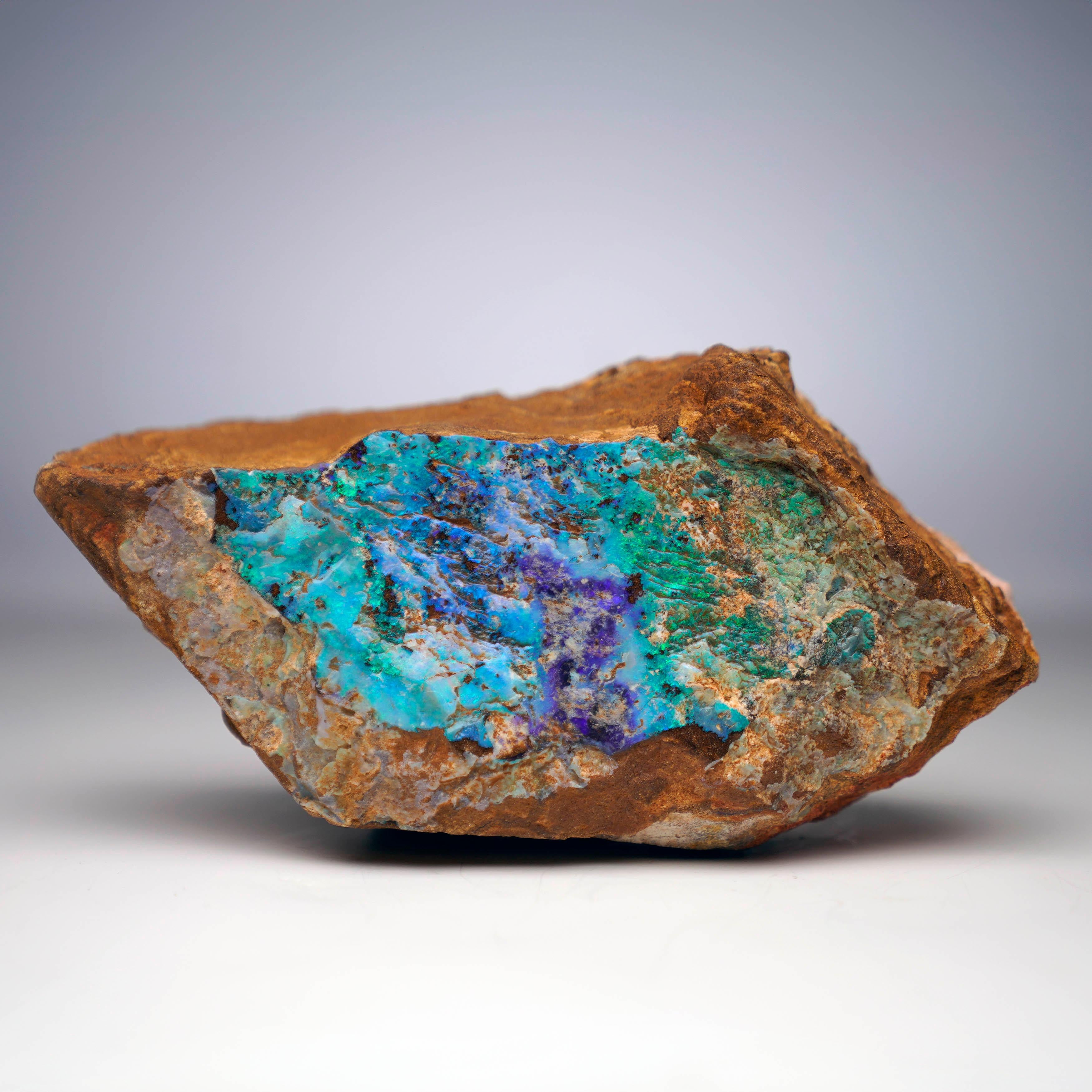 Questo affascinante esemplare di Opale su Matrix proveniente dall'Australia mostra uno squisito gioco di colori, con vibranti lampi di blu, verde e accenni di viola che brillano sulla sua matrice naturale. Il contrasto crudo e terroso tra l'aspra