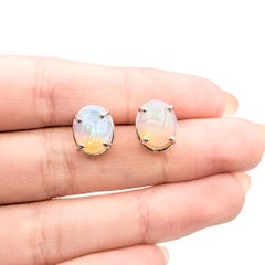 Opal Stud Earrings in 14k White Gold