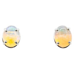 Opal Stud Earrings in 14k White Gold