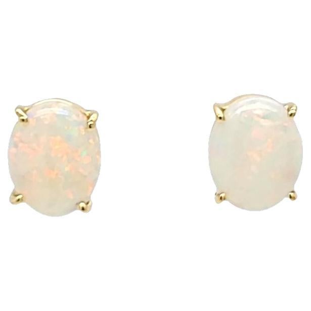 Opal Stud Earrings in Yellow Gold For Sale