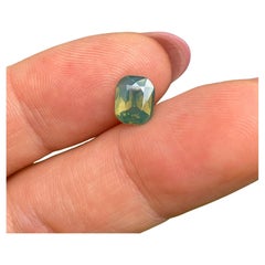 Opalescent Sapphire Yellowish Green 1.61Ct natural Unheated gemstone