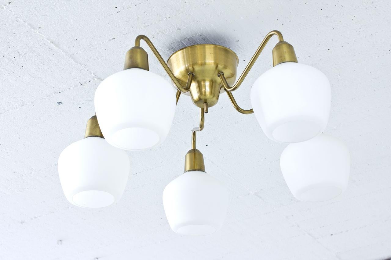 Five armed ceiling lamp designed by Hans Bergström manufactured by Ateljé Lyktan in Sweden during the 1950s. Polished brass frame, opaline glass diffusers.