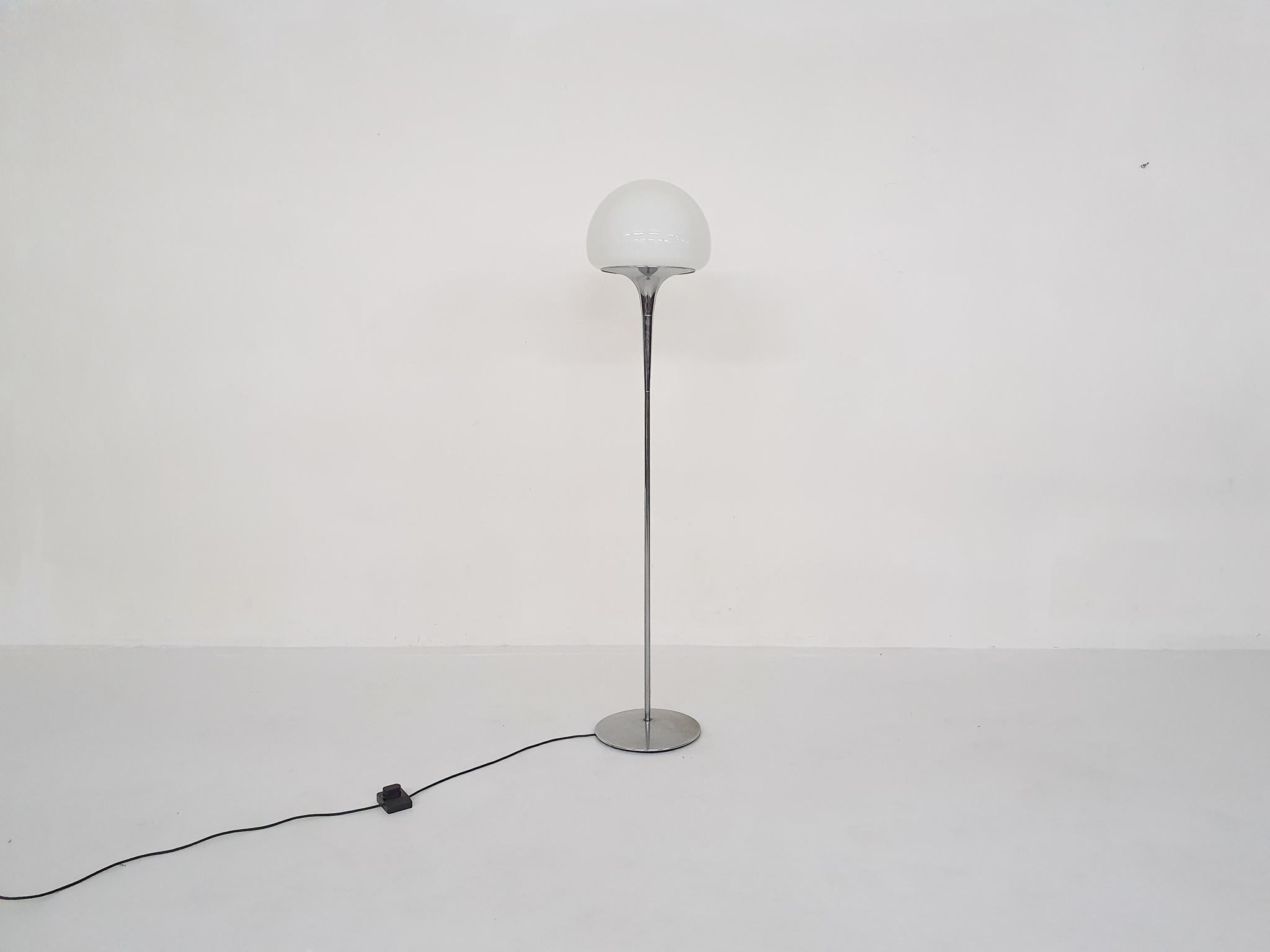 Mid-Century Modern Opaline Glass and Chrome Floor Lamp by Goffredo Reggiani, Italy 1960's For Sale