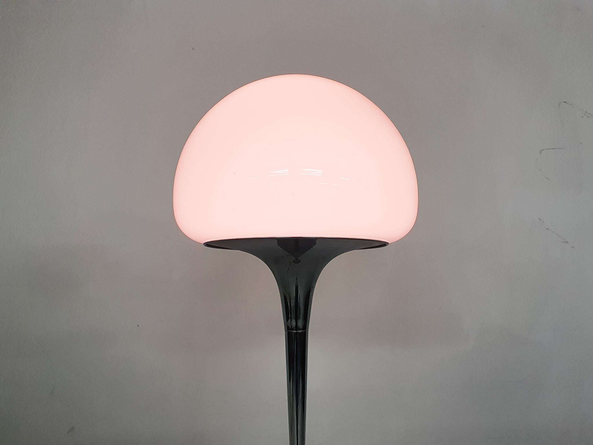 20th Century Opaline Glass and Chrome Floor Lamp by Goffredo Reggiani, Italy 1960's For Sale