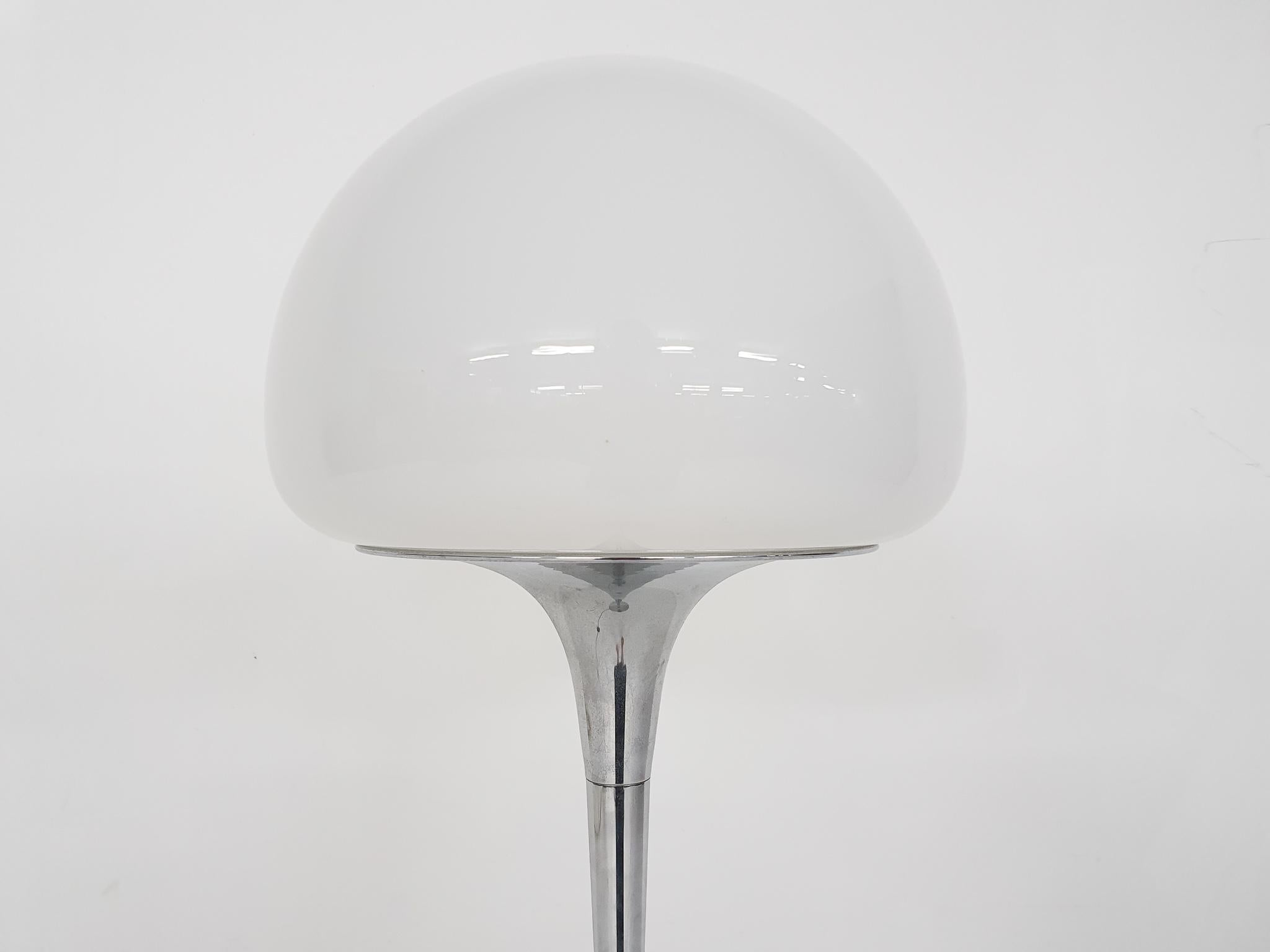 Opaline Glass and Chrome Floor Lamp by Goffredo Reggiani, Italy 1960's For Sale 3