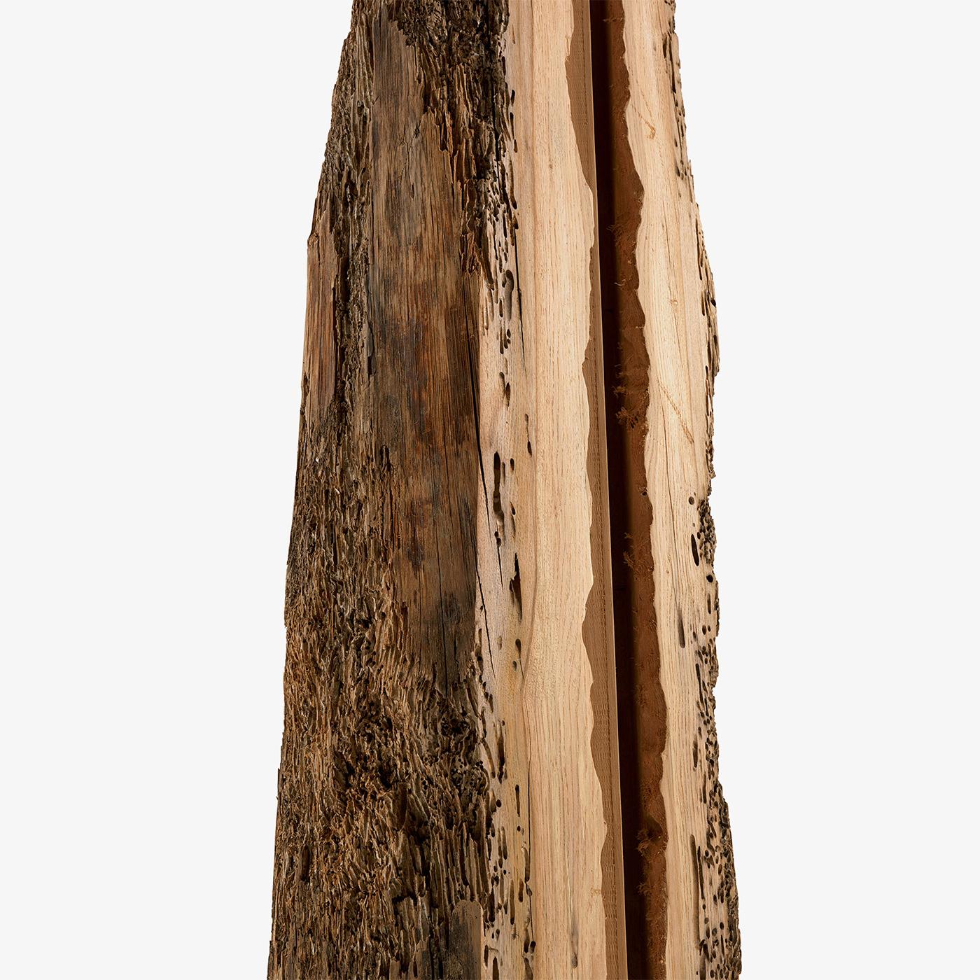 Apertura della scultura Raw Oak in vendita 1