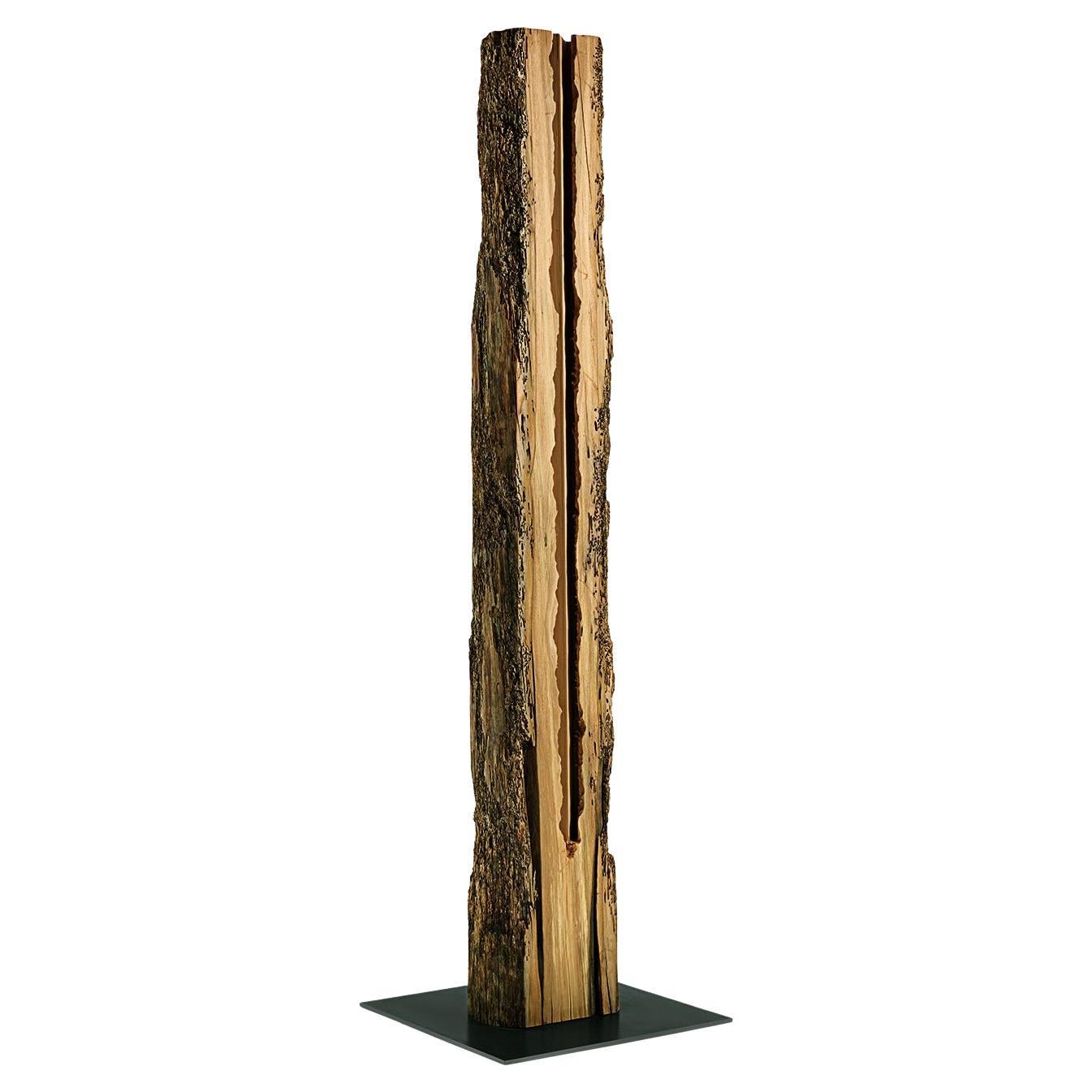 Opening Raw Oak Sculpture For Sale