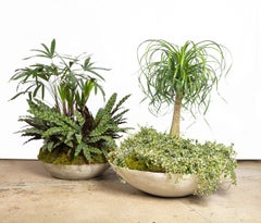 Ukiyo Saucer, Concrete Planter by OPIARY (D26.25", H7.5")