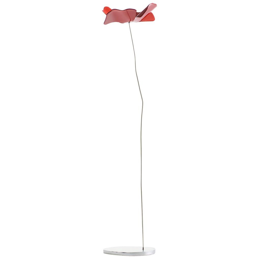 For Sale: Multi (Red Flower with Stainless Steel Base and Stem) Opinion Ciatti Papavero Delicato Small Table Decoration
