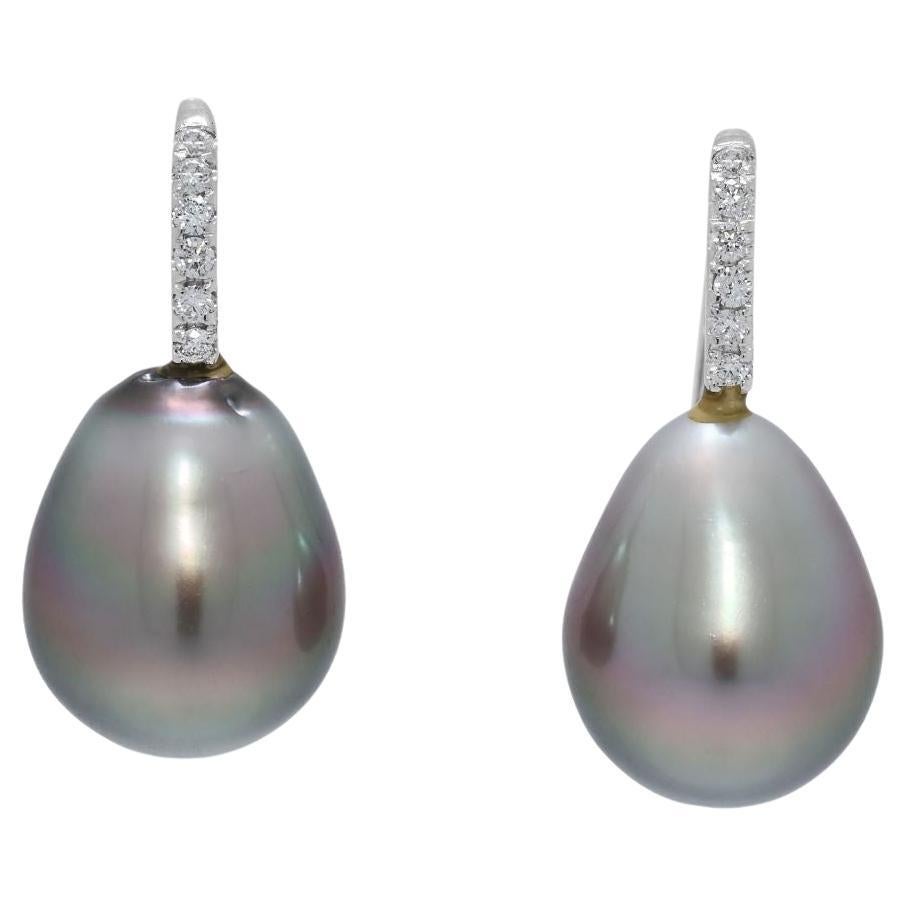 Opulent 0.06ct Natural Diamond & South Sea Pearl 18K White Gold Hook Earrings in vendita