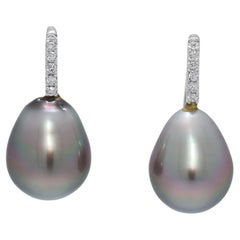 Opulent 0.06ct Natural Diamond & South Sea Pearl 18K White Gold Hook Earrings