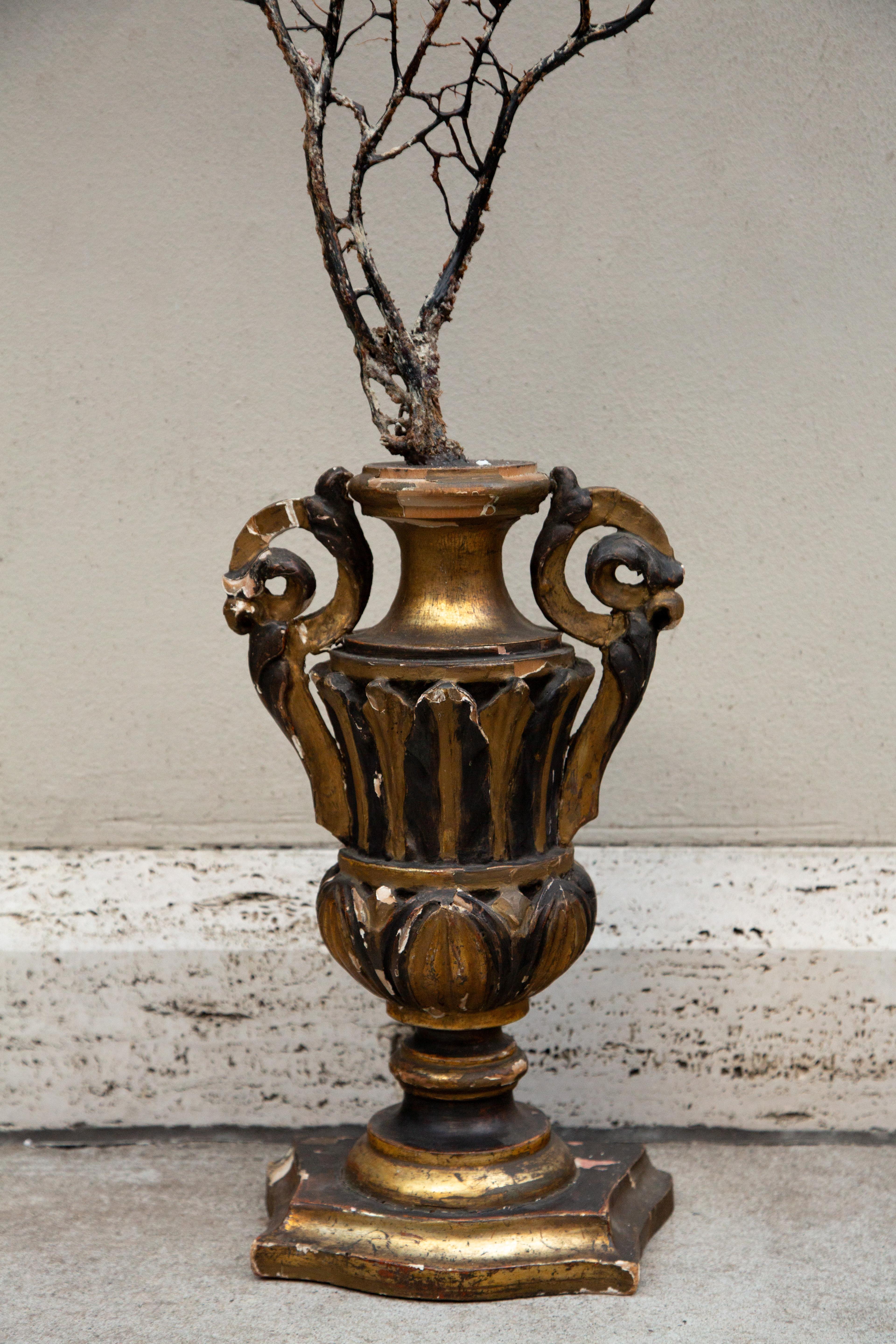 Opulent Ocean: Extra-Large Sea Fans on Antique Gilded Bases-60