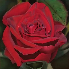 Ora Sorensen, "Morning Dew", 20x20 Red Rose Floral Still Life Oil Painting 