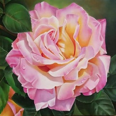 Ora Sorensen, „Rose in Rosa“, 20x20, Blumenstillleben, Ölgemälde auf Leinwand