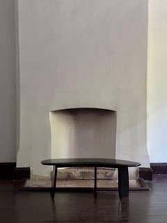 Contemporary Design, High Lacquered Black Ash Wood Bench by kar