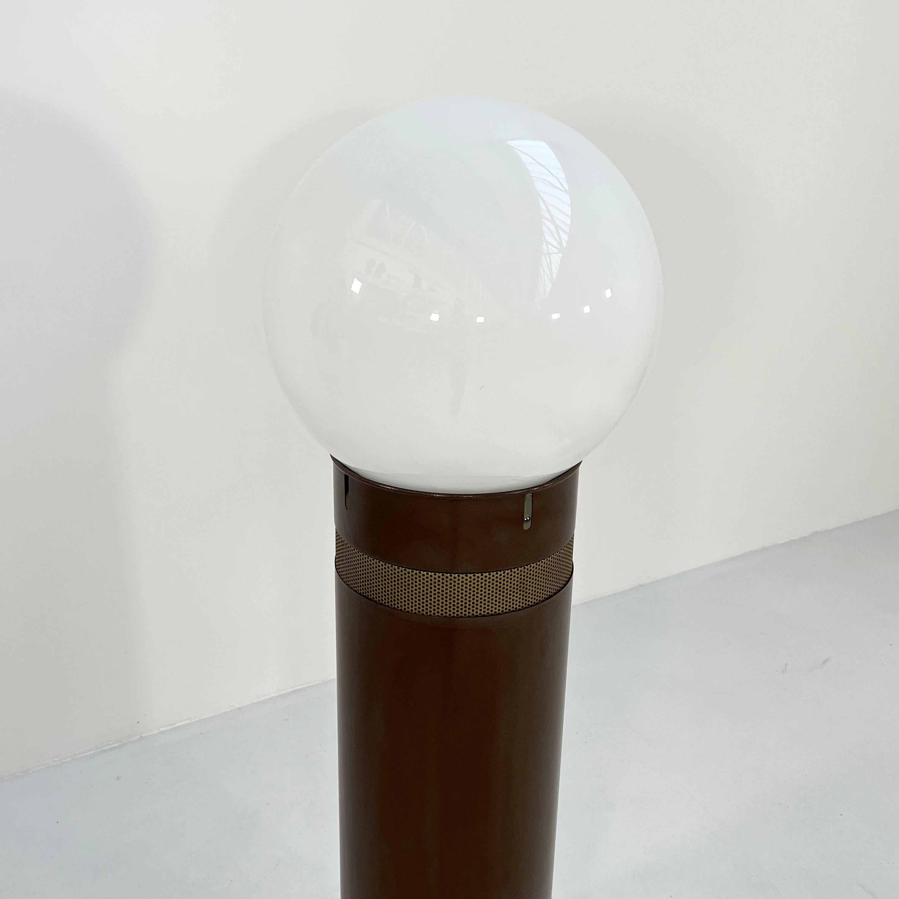 Metal Oracolo Floor Lamp by Gae Aulenti for Artemide, 1970s
