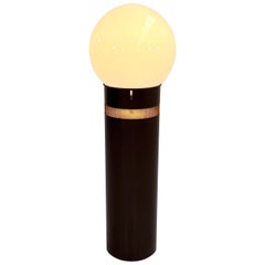 Oracolo Floor Lamp by Gae Aulenti for Artemide, 1970s