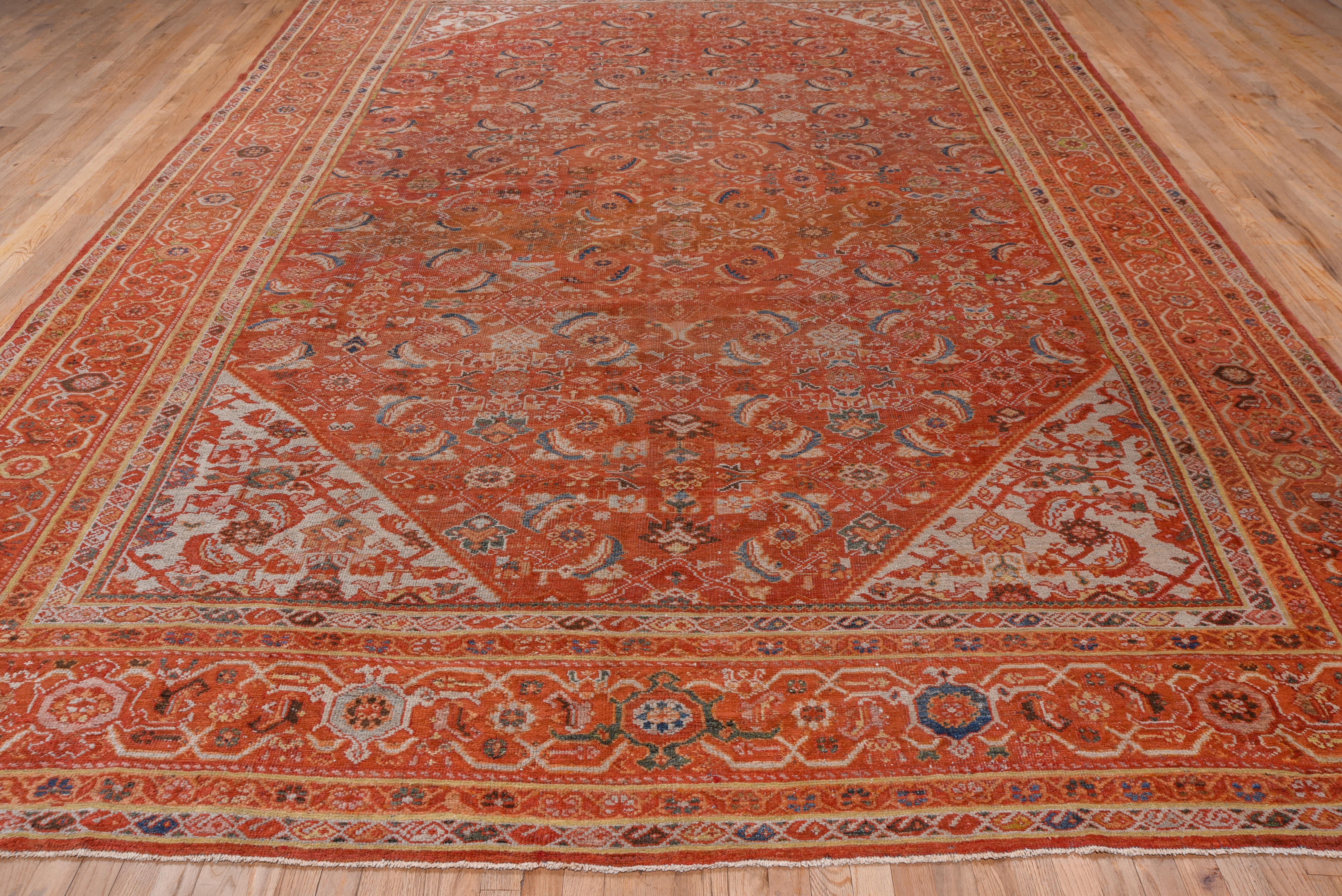Allover herati patten on the red-brown field and on the off white triangular corner; and both in the same scale on this west Persian rustic carpet with a salmon, reversing turtle palmette border. Light blue, maize and brown accents.