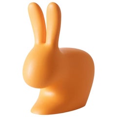 Antique Orange Baby Rabbit Chair by Stefano Giovannoni