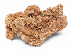 Orange "Desert Rose" Selenite with Tangerine Crystal Quartz Points