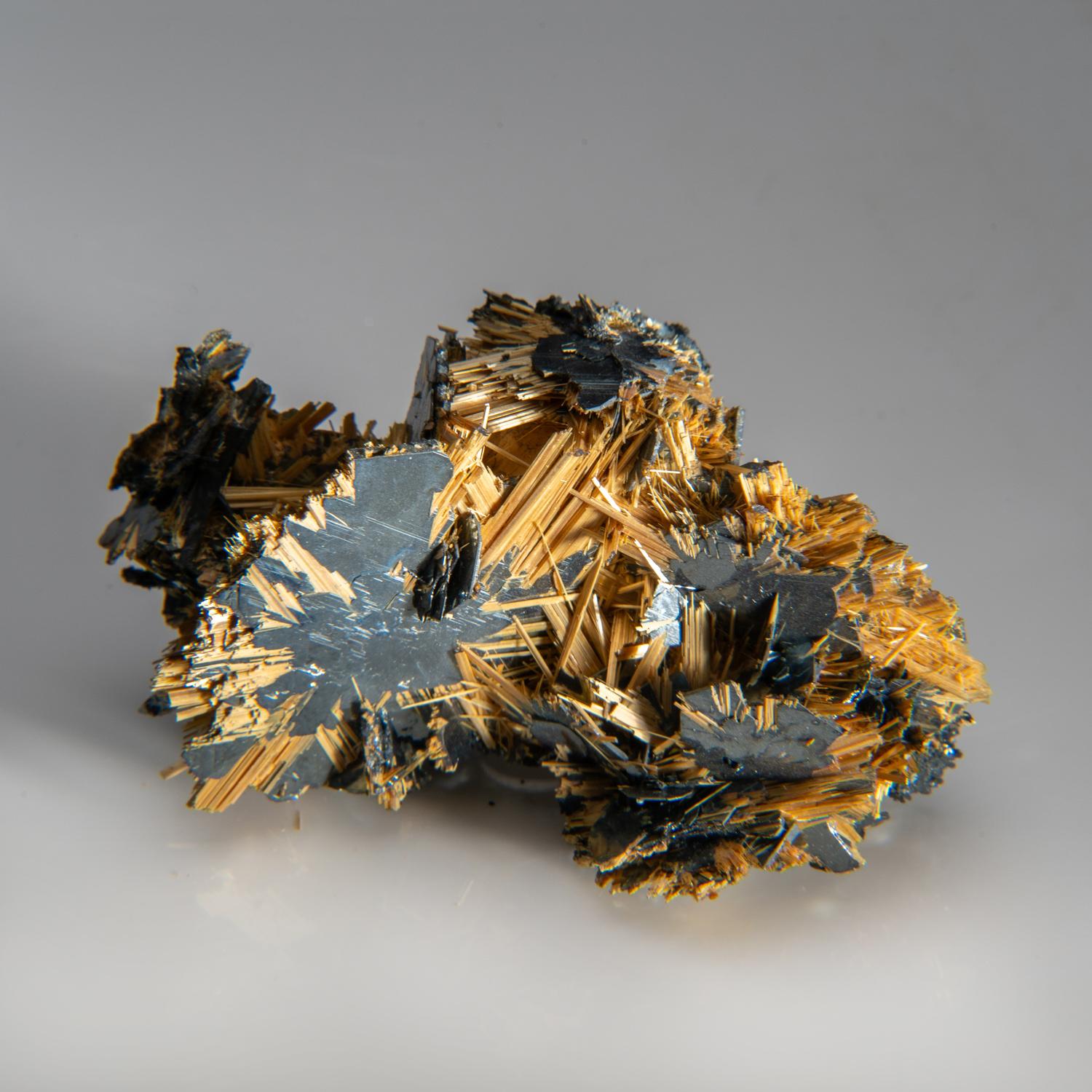 From Novo Horizonte, Bahia, Brazil

Complex cluster of platy black-metallic hematite crystals with golden, needle-like crystals of rutile epitaxially oriented on the hematite. The specimen is fully crystallized front and rear. 


Weight: 140.9