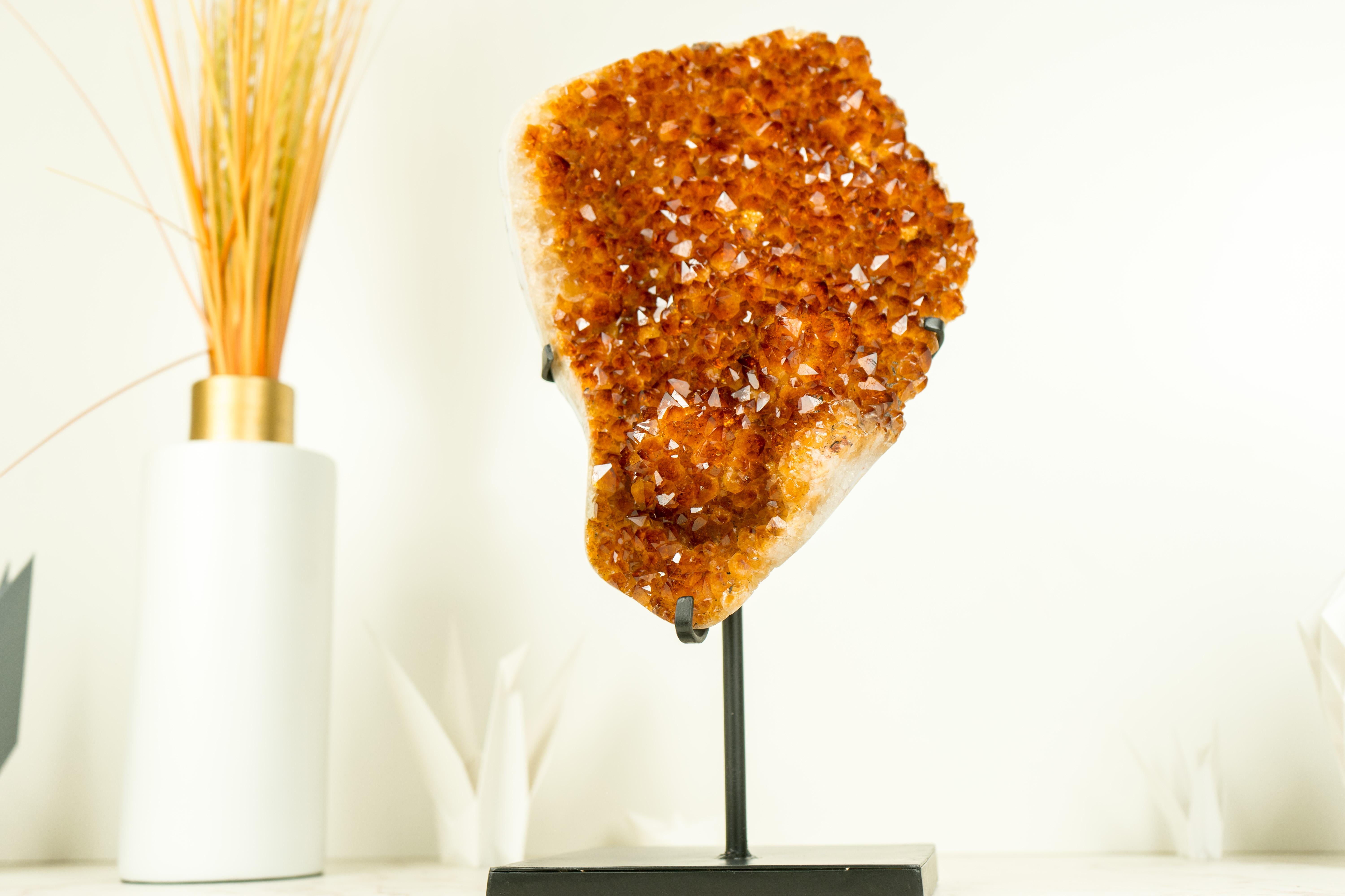 A rare and gorgeous cluster of Citrine, this specimen brings the rare and beautiful Orange Madeira Citrine as well as a natural Flower formation that adorns the aesthetics of this Specimen. Certainly, this Citrine specimen is destined to become the