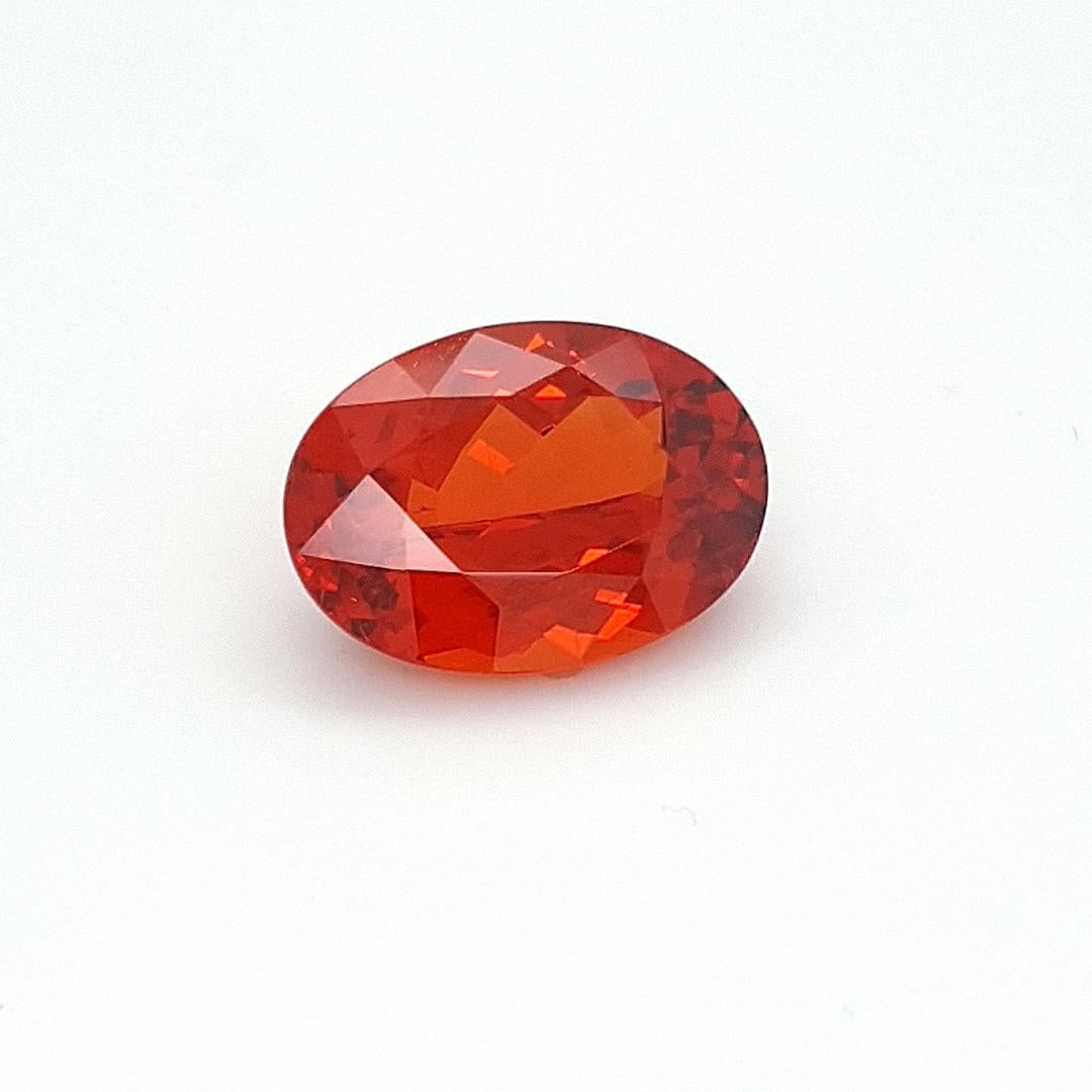 We are delighted to be able to offer for sale, this 15,95 ct. orange Spessartite Garnet of our exclusive collection.
This beautiful gem has a ornage brown colour with a great fire. The exclusivity and rarity of this gemstone is based on its size in