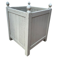 Orange Tree Planter / Box – Classical Style – Painted Oak