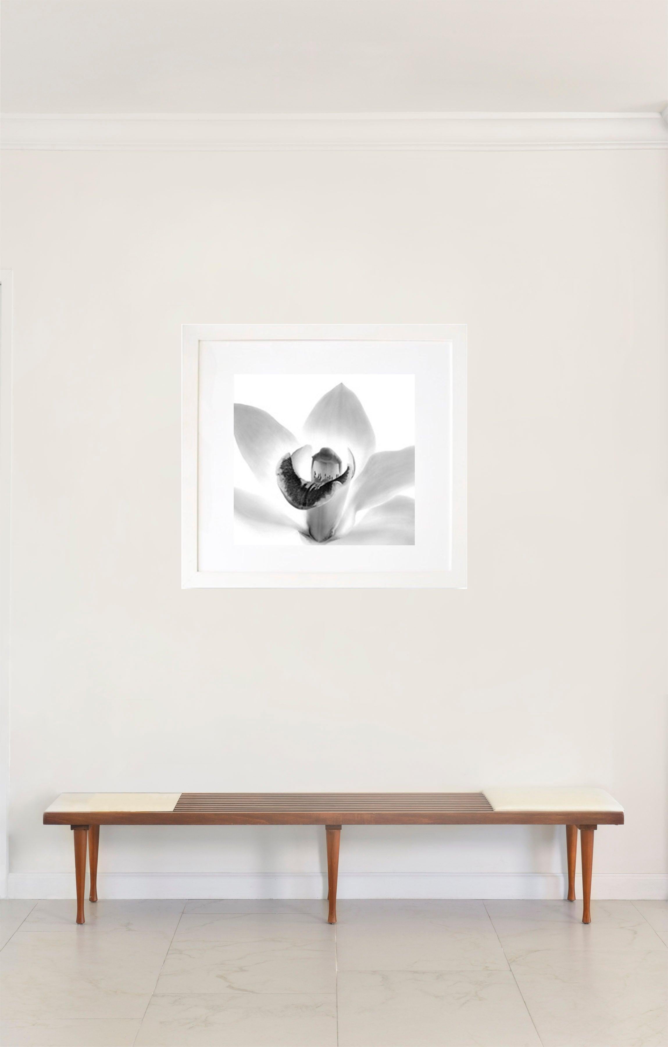 Other Orchid, Framed Black and White Nature Photograph