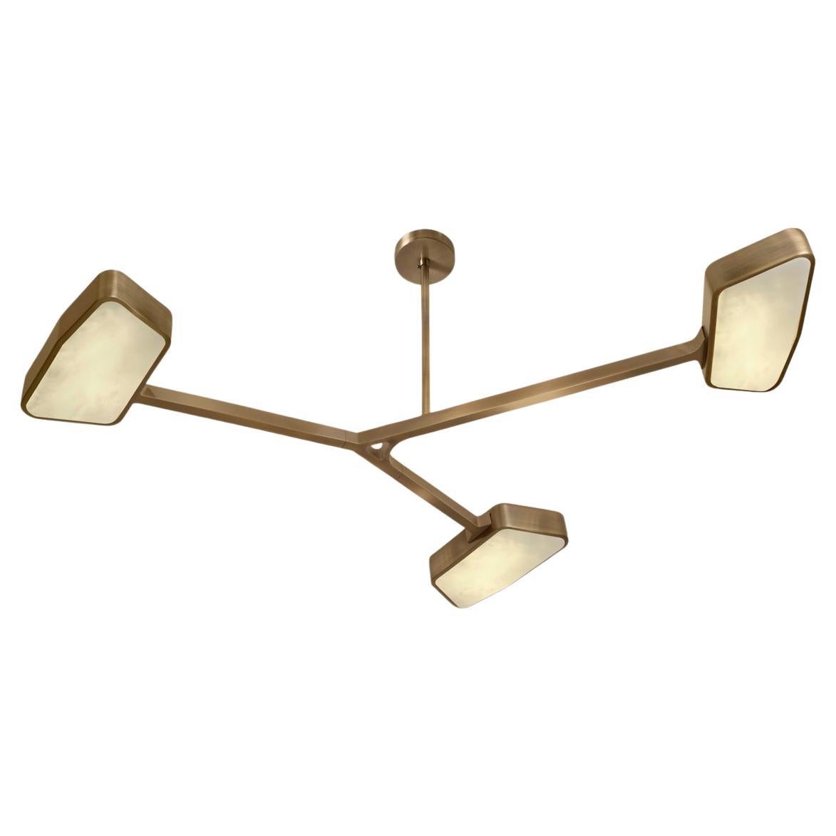 Orchid N.3 Ceiling Light by Gaspare Asaro. Bronze Finish
