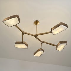 Orchid N.5 Ceiling Light by Gaspare Asaro. Bronze Finish