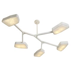 Orchid N.5 Ceiling Light by Gaspare Asaro. Cloud White Finish
