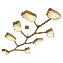 Orchid N.8 Ceiling Light by Gaspare Asaro. Bronze Finish