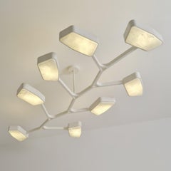 Orchid N.8 Ceiling Light by Gaspare Asaro. Cloud White Finish
