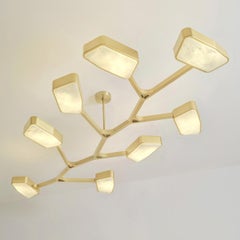Orchid N.8 Ceiling Light by Gaspare Asaro. Satin Brass Finish
