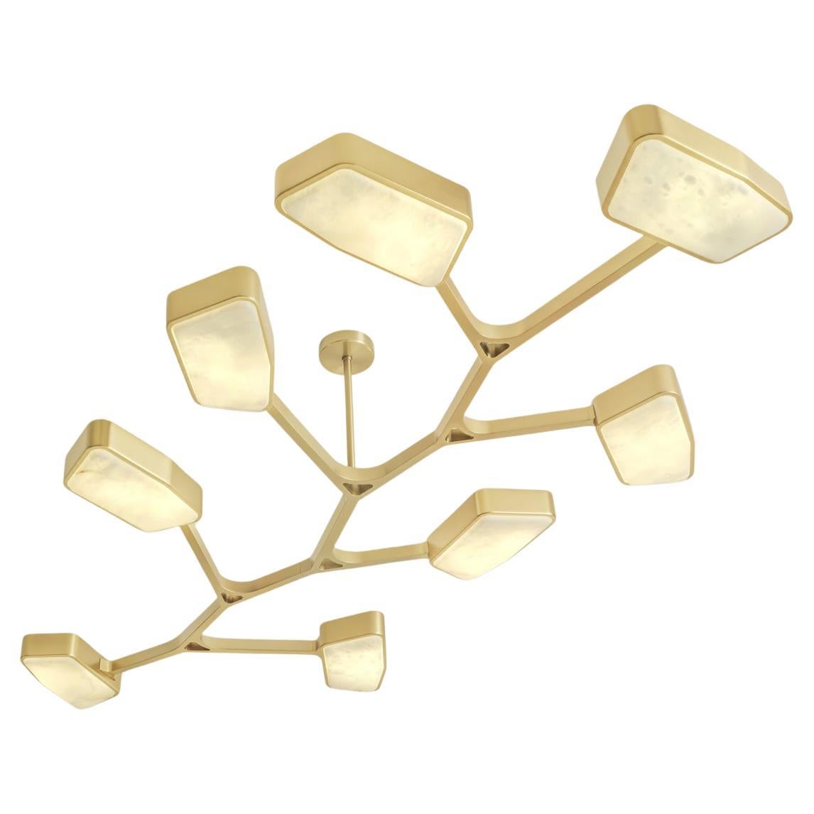 Orchid N.8 Ceiling Light by Gaspare Asaro. Satin Brass Finish