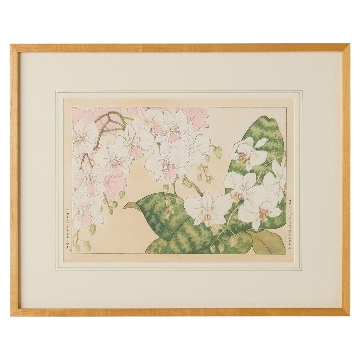 Orchid Woodblock Print by Tanigami Kōnan