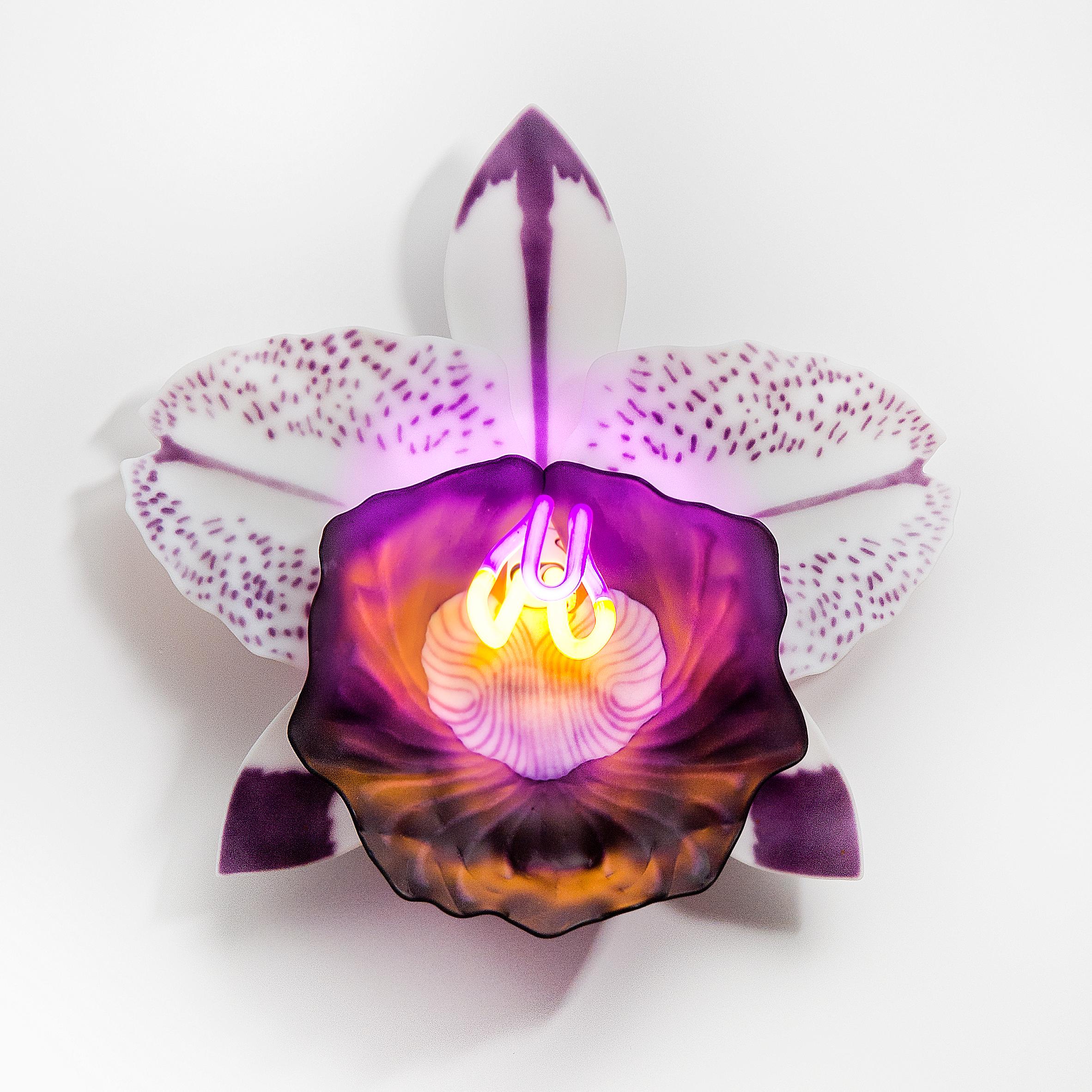 Orchis Exotica Cattleya Amethyst is a unique glass & neon sculptural wall-mounted orchid by the British artist Laura Hart.

The Orchis Exotica collection are created from 6 components/petals (each handmade and fused & slumped glass) which fit into a