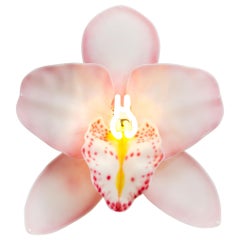 Orchis Exotica Cymbidium Baby Pink, a Glass & Neon Orchid artwork by Laura Hart