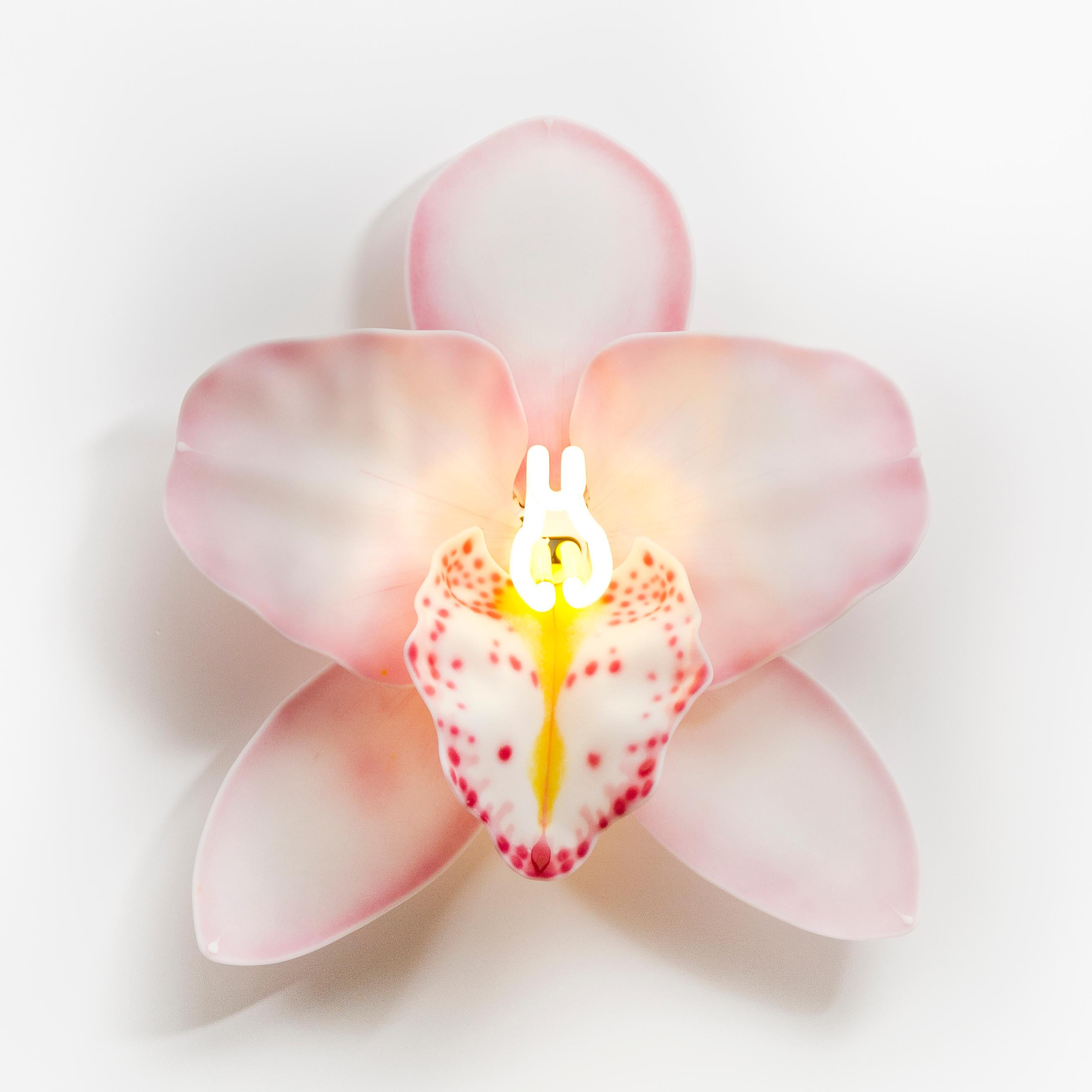 Orchis Exotica Cymbidium Baby Pink is a unique glass and neon sculptural wall-mounted orchid by the British artist Laura Hart.

The Orchis Exotica collection are created from 6 components/petals ( each handmade and fused & slumped glass) which fit