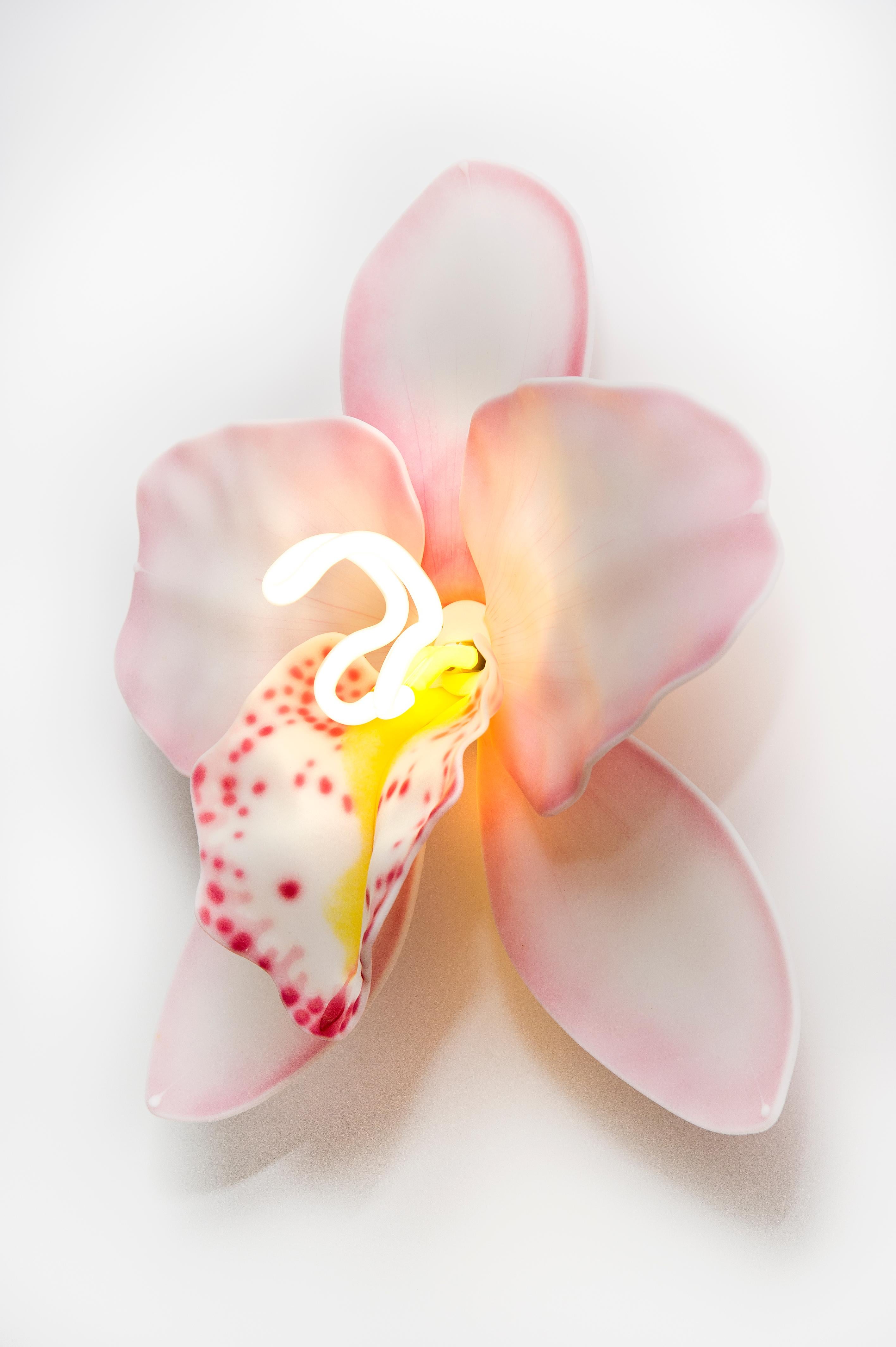 Organic Modern Orchis Exotica Cymbidium Baby Pink, a Glass & Neon Orchid artwork by Laura Hart