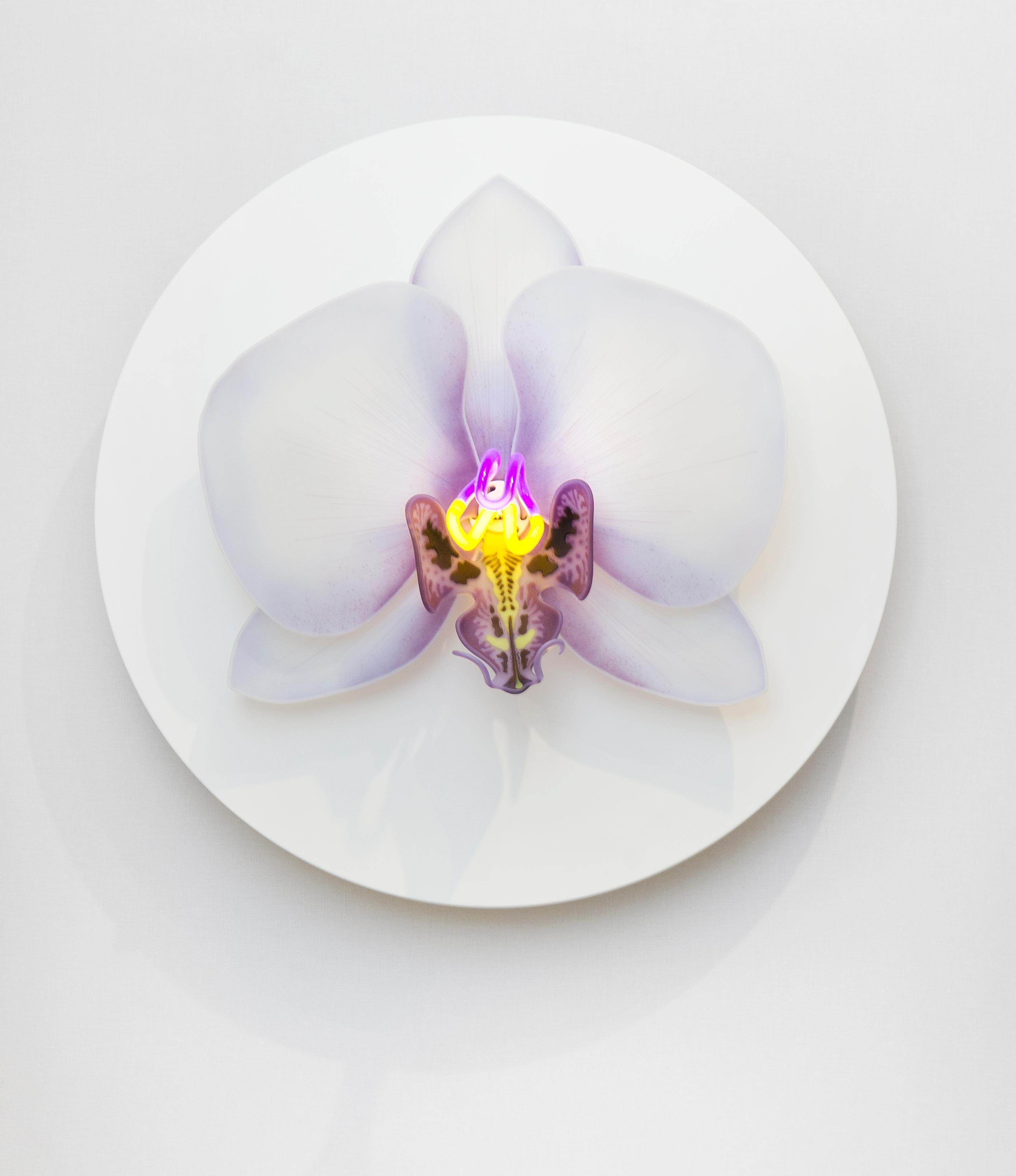Organic Modern Orchis Exotica Phalaenopsis Violet, Glass & Neon Sculptural Orchid by Laura Hart