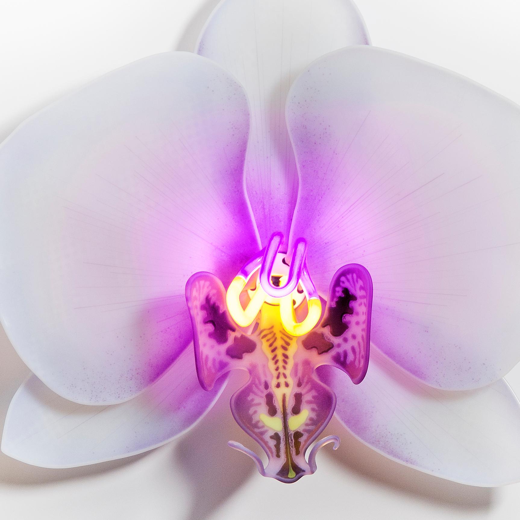 British Orchis Exotica Phalaenopsis Violet, Glass & Neon Sculptural Orchid by Laura Hart