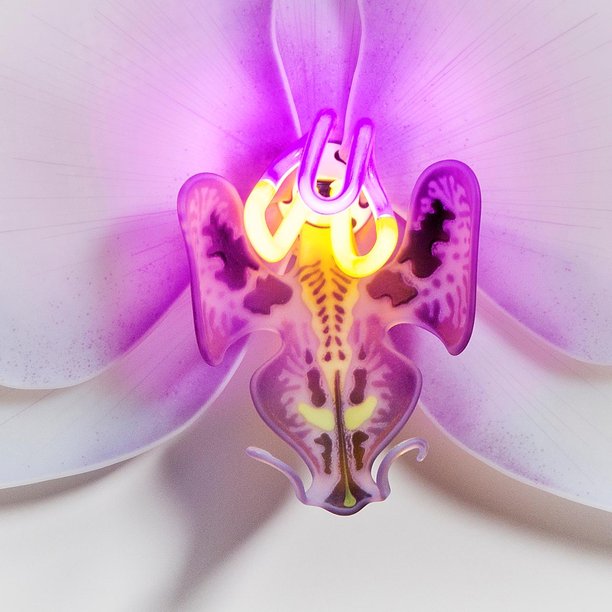 Hand-Crafted Orchis Exotica Phalaenopsis Violet, Glass & Neon Sculptural Orchid by Laura Hart