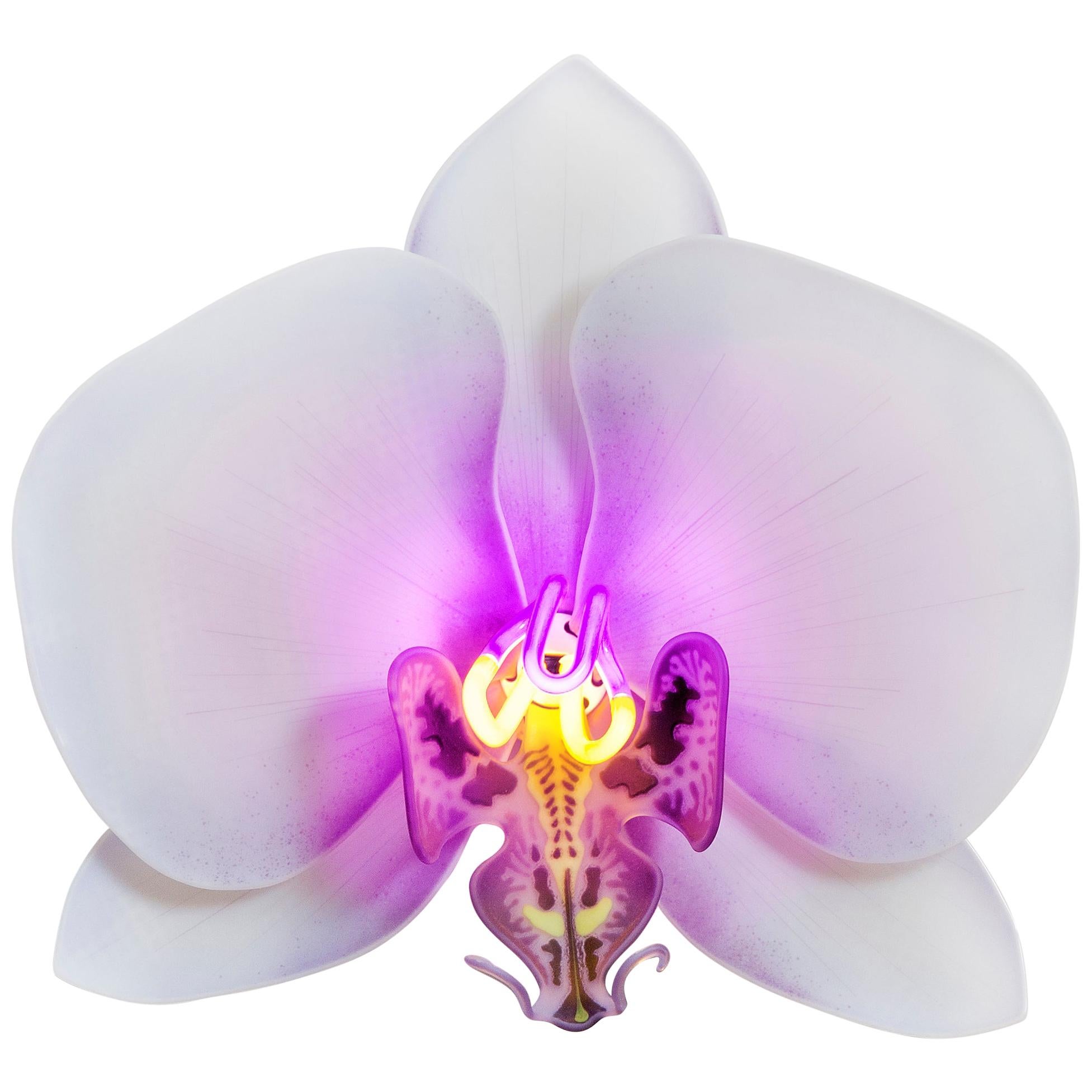 Orchis Exotica Phalaenopsis Violet, Glass & Neon Sculptural Orchid by Laura Hart