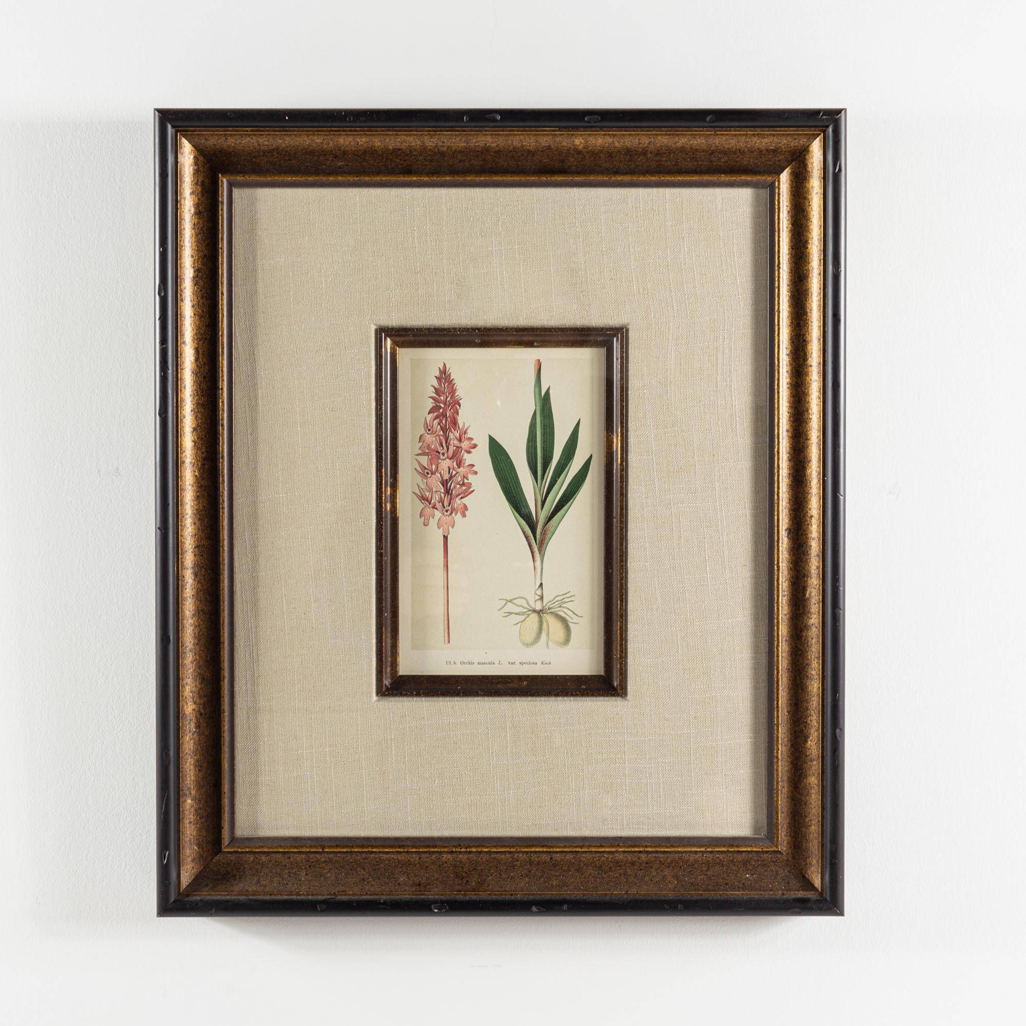 Orchis Mascula flower botanical framed print

This print measures: 19 wide x 1.5 deep x 22 inches high

This print is in Good Vintage Condition with minor marks, dents, and wear.

We take our photos in a controlled lighting studio to show as