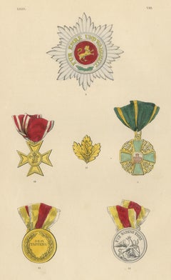 Orders of Baden, Zähringer Lion and Medals, Plate VIII, Wood Engraving, 1844