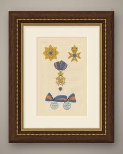 Ordini dei Paesi Bassi, Ordine del Leone dei Paesi Bassi, Tavola LIII, 1844